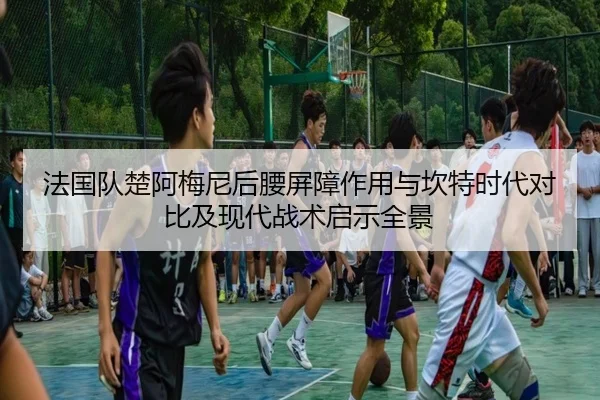 法国队楚阿梅尼后腰屏障作用与坎特时代对比及现代战术启示全景